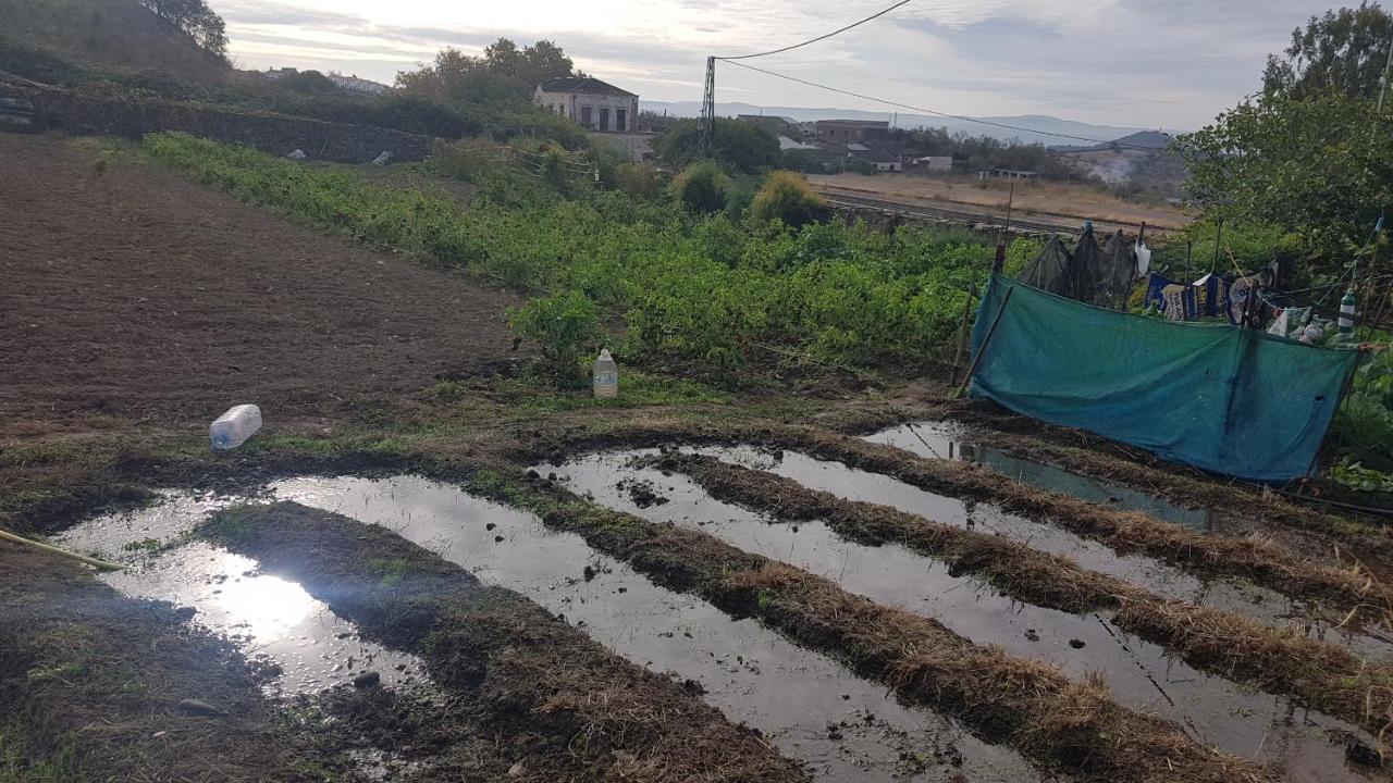 El Sitio De Su Recreo Villa Jerez de los Caballeros Kültér fotó